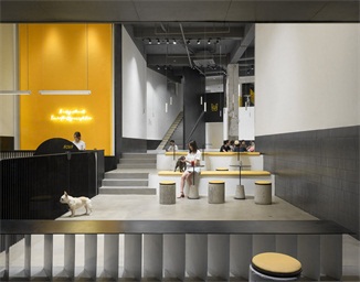 杭州宠物咖啡厅空间设计
