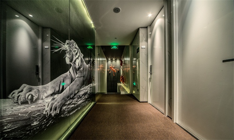 酒店空间设计效果图
